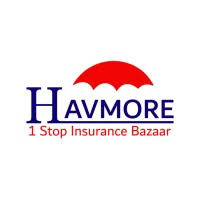 havmore insurance brokers pvt ltd